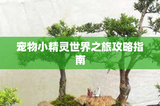 宠物小精灵世界之旅攻略指南图片