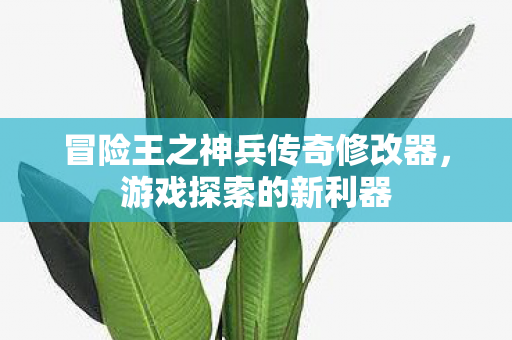 冒险王之神兵传奇修改器图片