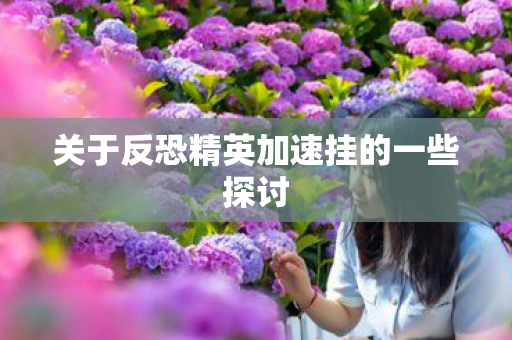关于反恐精英加速挂的一些探讨图片