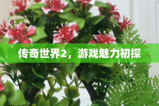 游戏魅力初探图片