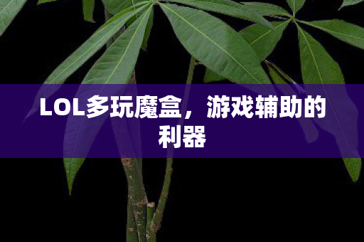 LOL多玩魔盒图片