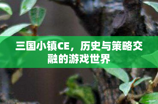 历史与策略交融的游戏世界图片