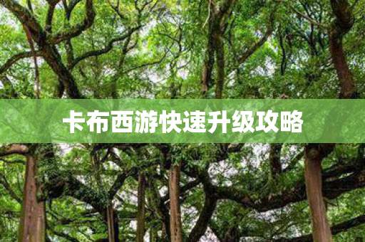 卡布西游快速升级攻略图片
