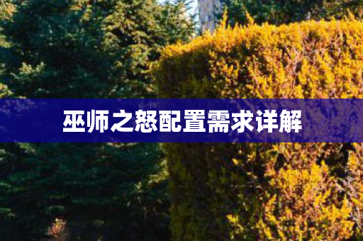 巫师之怒配置需求详解图片