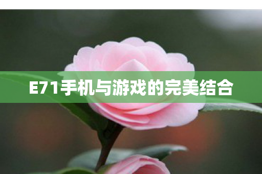 E71手机与游戏的完美结合图片