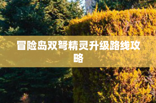 冒险岛双弩精灵升级路线攻略图片