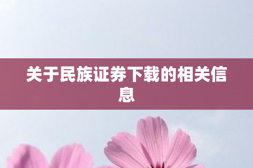 关于民族证券下载的相关信息图片