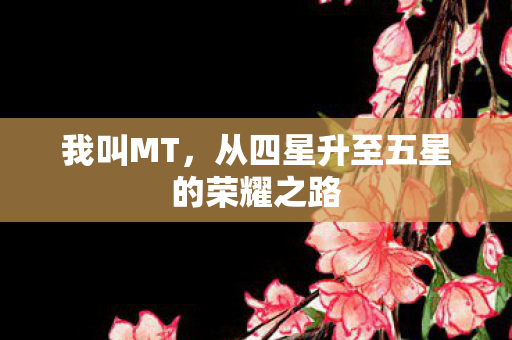 从四星升至五星的荣耀之路图片