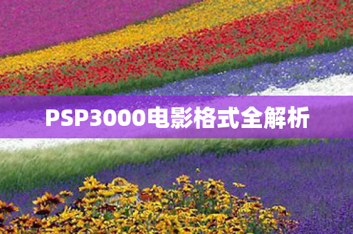 PSP3000电影格式全解析图片