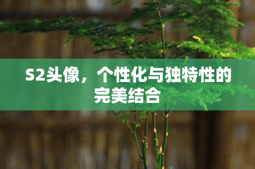 个性化与独特性的完美结合图片