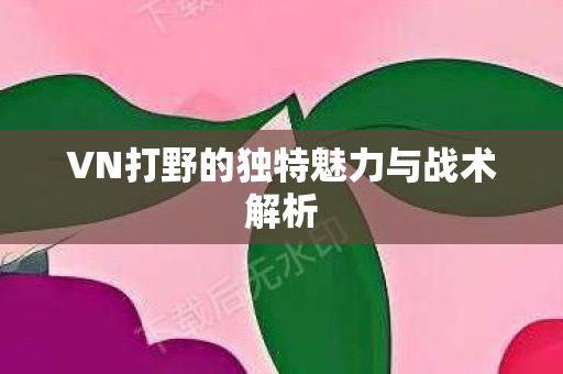 VN打野的独特魅力与战术解析图片
