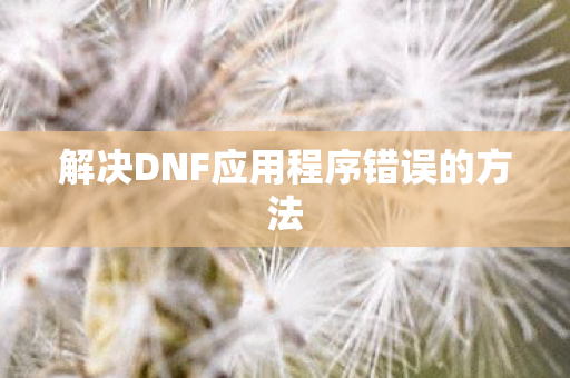 解决DNF应用程序错误的方法图片