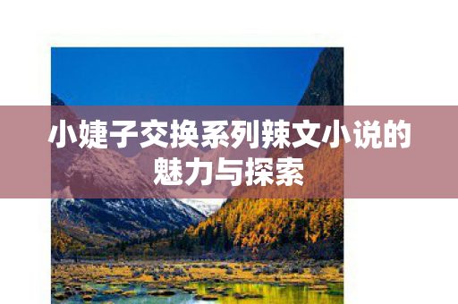 小婕子交换系列辣文小说的魅力与探索图片