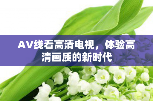 体验高清画质的新时代图片