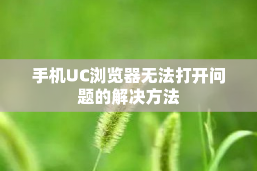手机UC浏览器无法打开问题的解决方法图片
