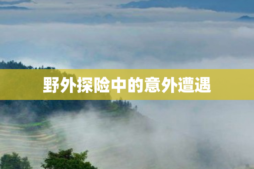 野外探险中的意外遭遇图片