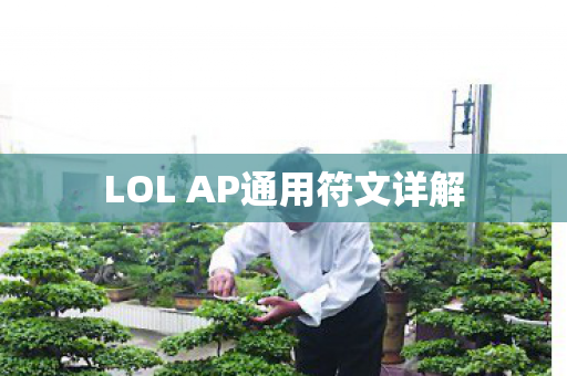 LOL AP通用符文详解图片