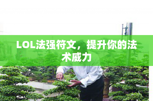 提升你的法术威力图片