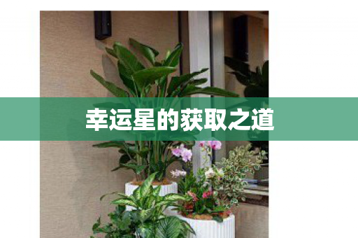 幸运星的获取之道图片