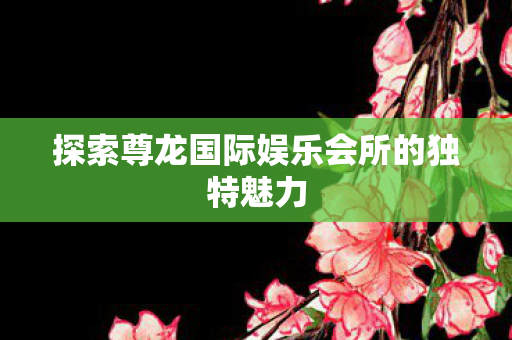 探索尊龙国际娱乐会所的独特魅力图片
