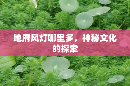 地府风灯哪里多图片