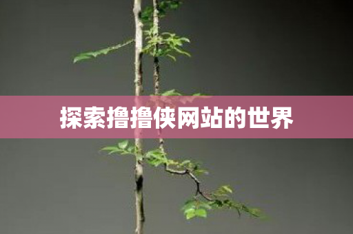 探索撸撸侠网站的世界图片