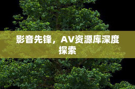 AV资源库深度探索图片