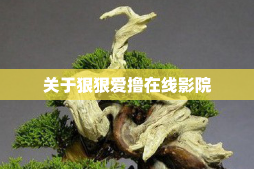 关于狠狠爱撸在线影院图片