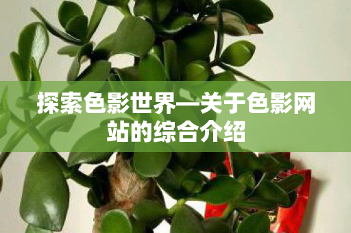 关于色影网站的综合介绍图片