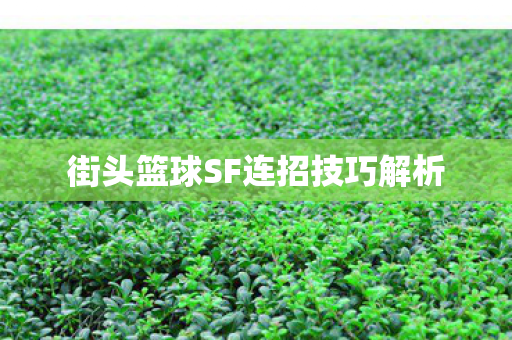 街头篮球SF连招技巧解析图片