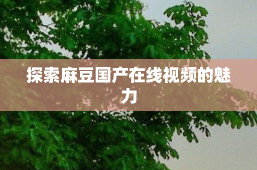 探索麻豆国产在线视频的魅力图片