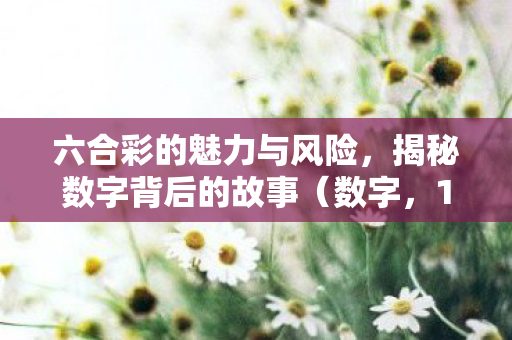 六合彩的魅力与风险图片