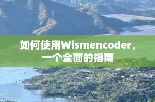 如何使用Wismencoder图片