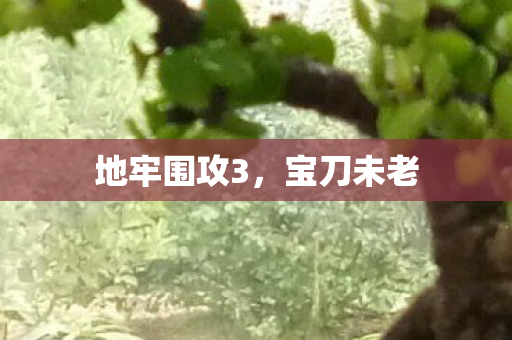 地牢围攻3图片