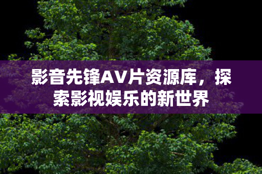 影音先锋AV片资源库图片