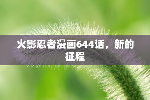 火影忍者漫画644话图片
