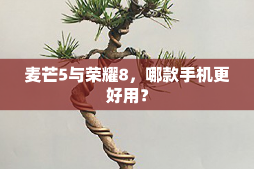 麦芒5与荣耀8图片