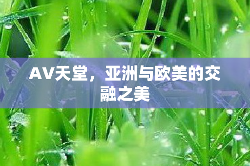 亚洲与欧美的交融之美图片