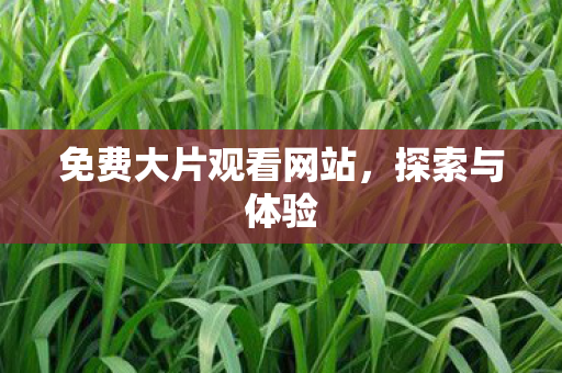 免费大片观看网站图片
