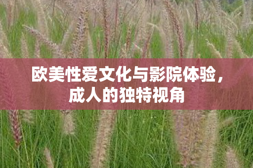 欧美性爱文化与影院体验图片