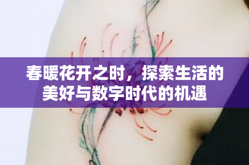 探索生活的美好与数字时代的机遇图片