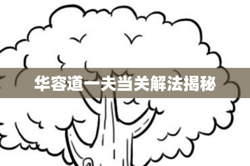 华容道一夫当关解法揭秘图片