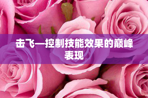 控制技能效果的巅峰表现图片