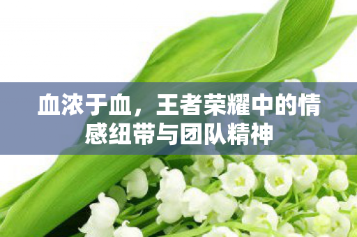 王者荣耀中的情感纽带与团队精神图片