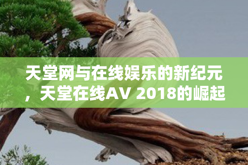 天堂在线AV 2018的崛起与影响图片