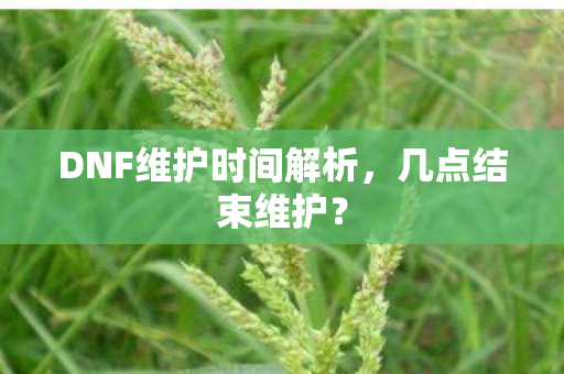 DNF维护时间解析图片