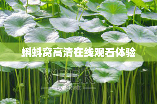 蝌蚪窝高清在线观看体验图片