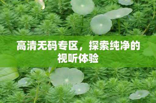 探索纯净的视听体验图片