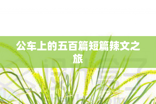 公车上的五百篇短篇辣文之旅图片