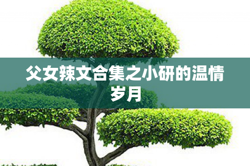 父女辣文合集之小研的温情岁月图片